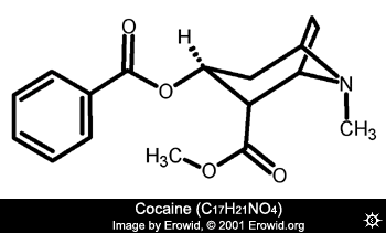 File:Cocaine molecule.gif