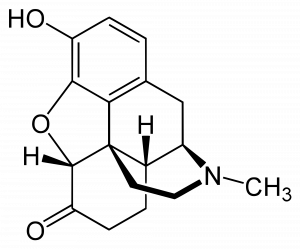 Chemical structure of hydromorphone
