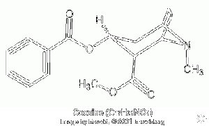 Cocaine molecule.gif